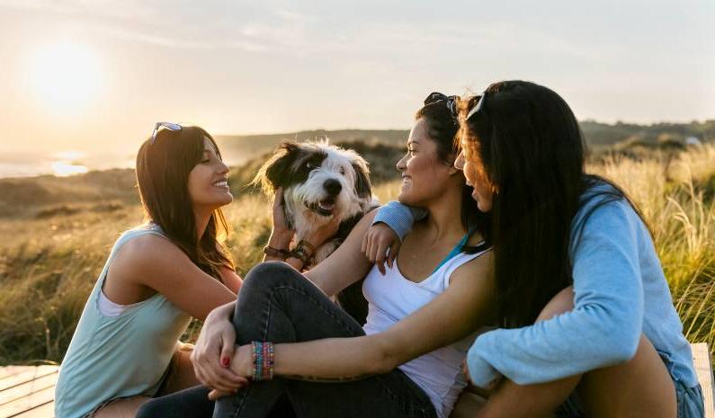 Three happy women with dog sitting on boardwalk at sunset